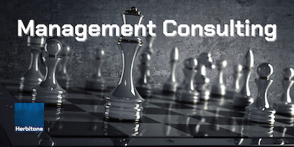 Management Consulting
