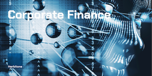 Corporate Finance Advisory and Business Valuation based on CFA standards